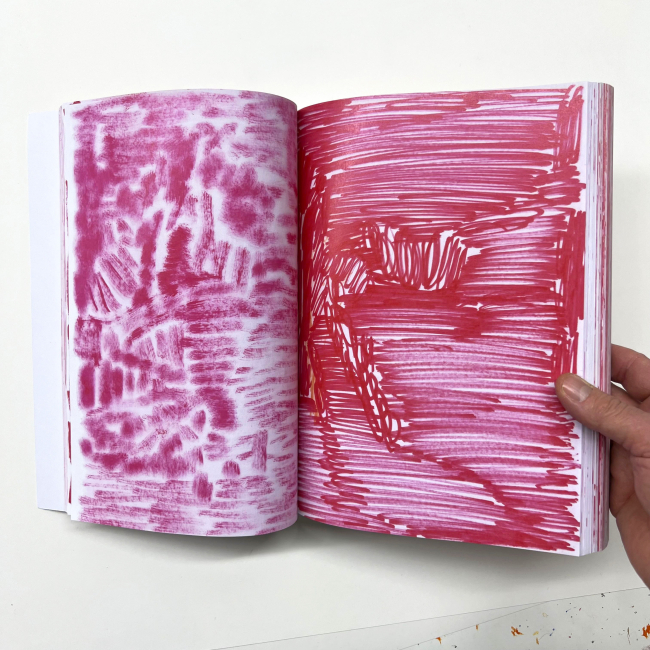 Un moment d'absence 495 pages 19 x 27 cm color cop