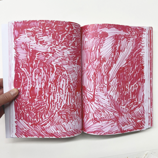 Un moment d'absence 495 pages 19 x 27 cm color cop