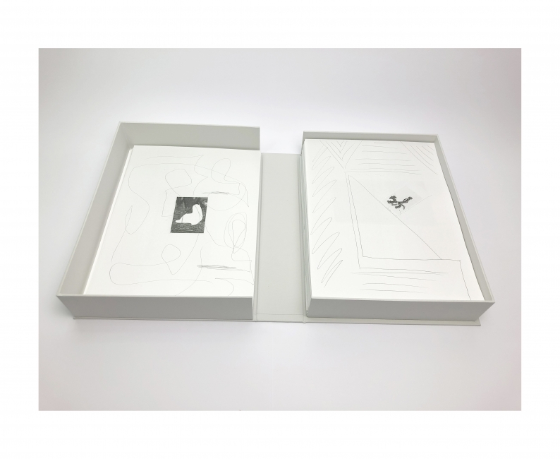 Le monde immédiat  kassette box 241 pages 30,7 x 