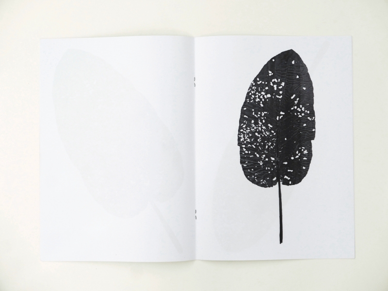 Feuilles 10 pages 20 x 28 cm b/w photocopy single 