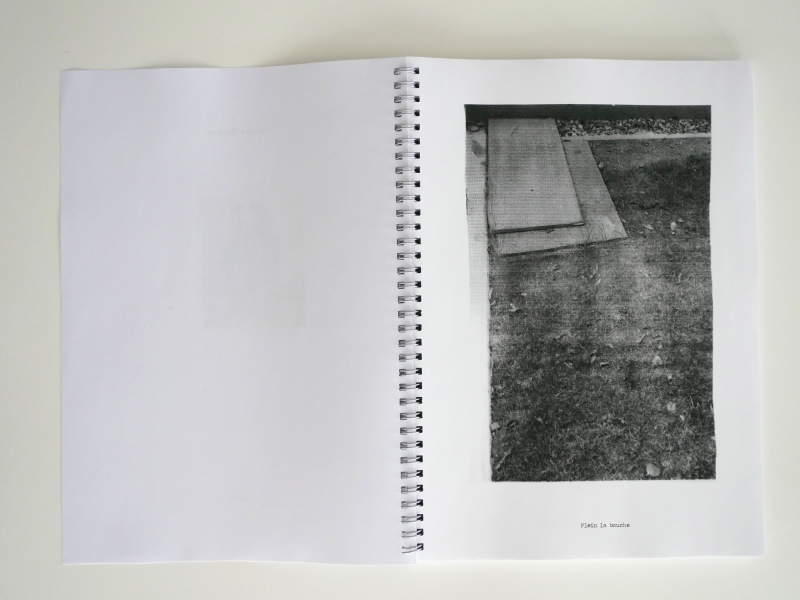 Iceberg 66 pages 21 x 29,7 cm b/w photocopy,  5 pr