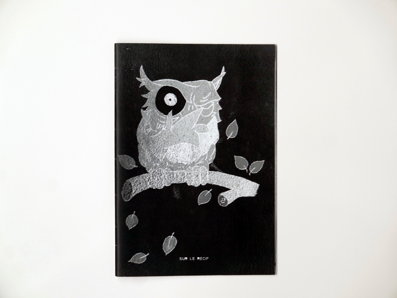 Récif 12 pages 19,5 x 28 cm b/w photocopy single 