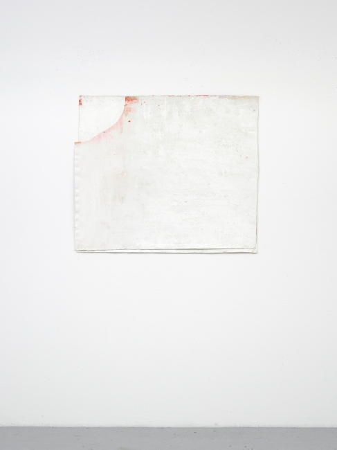 Untitled, 2021 acrylic pigment on canvas 117 x 101